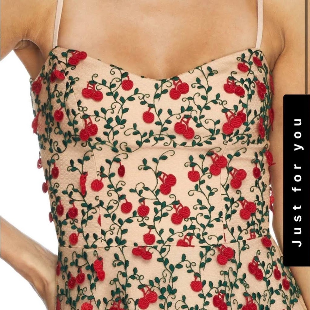 Dress the population cherry dress with cute detailing